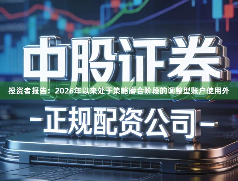 投资者报告：2026年以来处于策略磨合阶段的调整型账户使用外