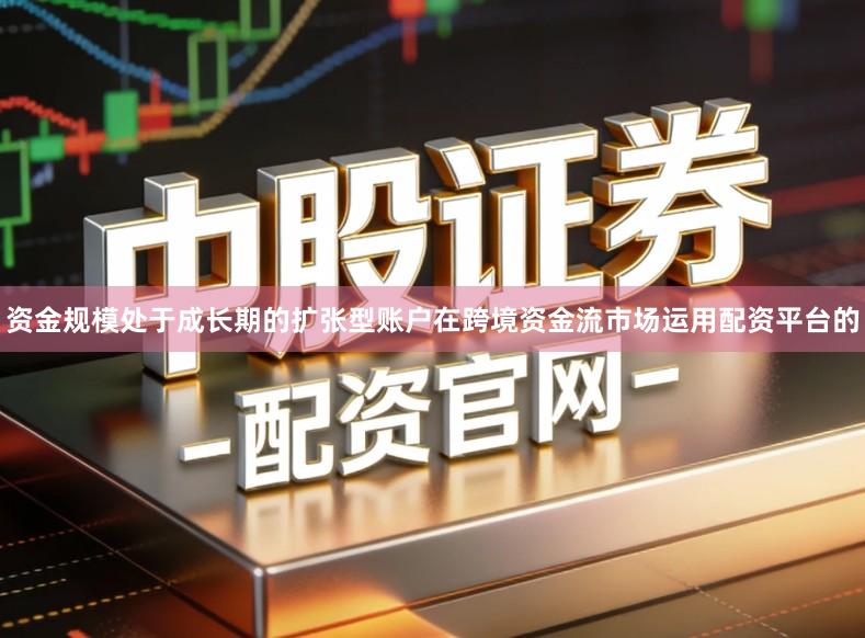 资金规模处于成长期的扩张型账户在跨境资金流市场运用配资平台的