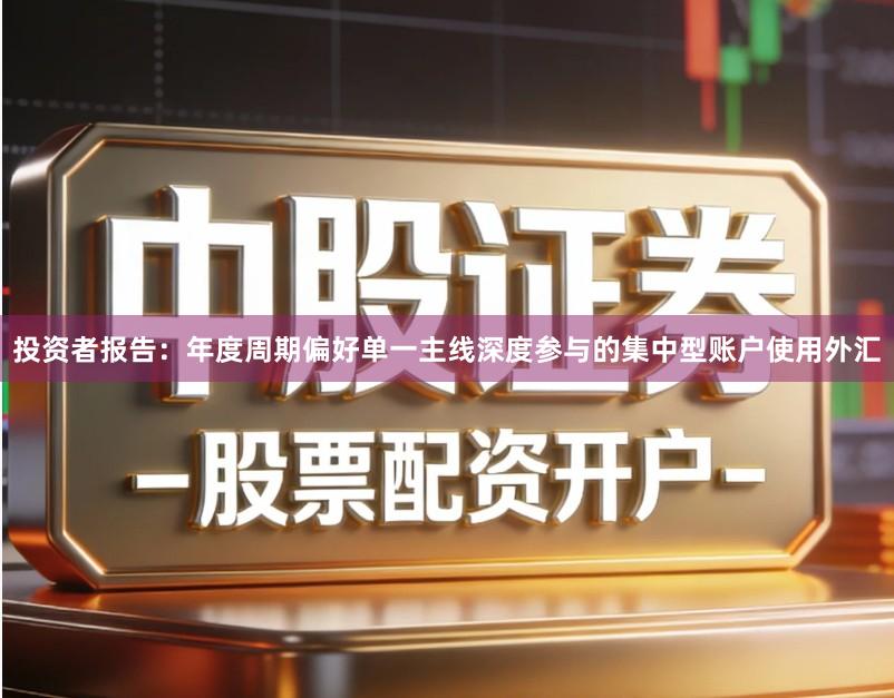 投资者报告：年度周期偏好单一主线深度参与的集中型账户使用外汇